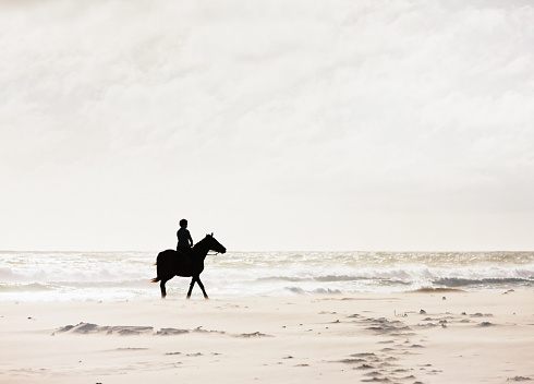 Horses on a beach near the ocean