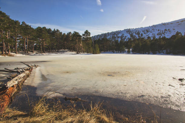 lagoa congelada durante o inverno com árvores em neila - exploration mountain ice jumping - fotografias e filmes do acervo