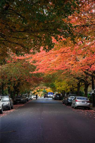 istock Downtown Residential Autumn Street 1283574775
