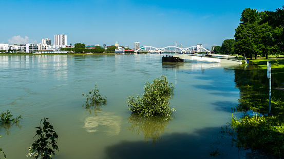 Flood on the river, plants under water, flooded shores, blue sky in background