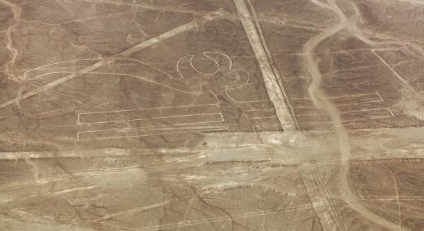 istock Parrot geoglyph, Nazca or Nasca mysterious lines, Peru 1283579960