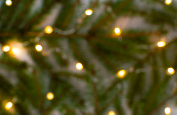 istock blurred defocus green background of Christmas tree branches and garland lights 1283579971