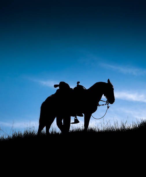 istock Cowboy at sunset 1283580364