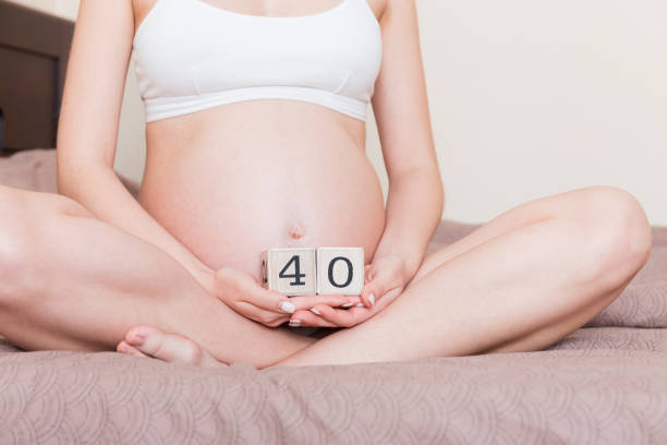 zwangere vrouw in wit ondergoed op bed in huis holdingkalender met weken 40 van zwanger. het concept van het moederschap. verwacht een aankomende baby - pregnant count stockfoto's en -beelden