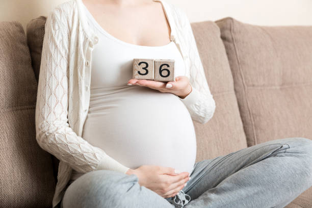 Pregnant woman in white underwear on bed in home holding calendar with weeks 36 of pregnant. Maternity concept. Expecting an upcoming baby Pregnant woman in white underwear on bed in home holding calendar with weeks 36 of pregnant. Maternity concept. Expecting an upcoming baby. number 36 stock pictures, royalty-free photos & images