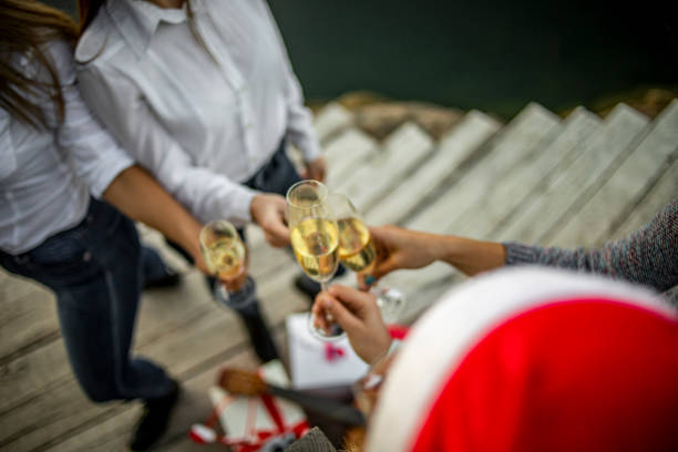大晦日を祝う若い女性 - シャンパンで新年のお祝い - 若い女性、学生は、シャンパンを飲むことによって美しい自然の中で湖で新年を祝う - new years day new years eve new year ethnic ストックフォトと画像