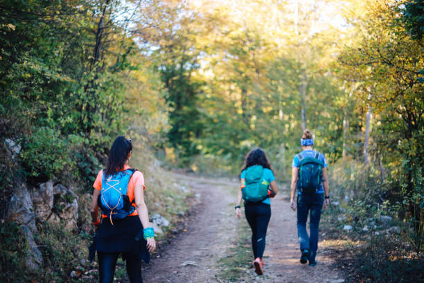 istock Young women hiking through the forest 1283583539