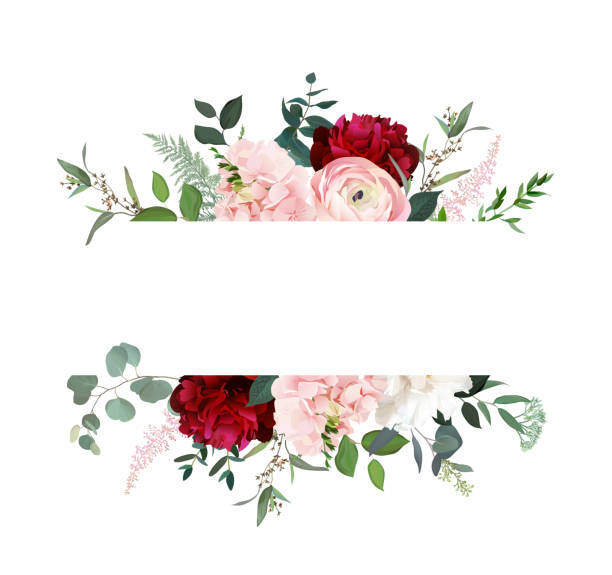 10,000+ Red Roses Border Illustrations, Royalty-Free Vector Graphics & Clip  Art - Istock