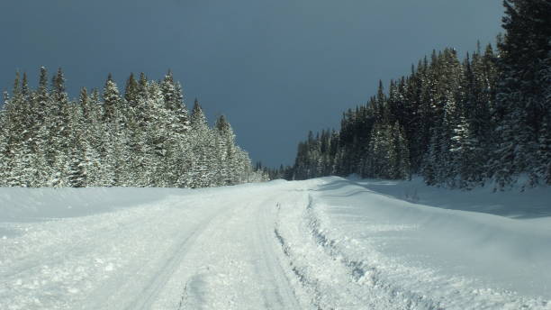 istock Icefields Parkway during the winter in Banff National Park 1283591224