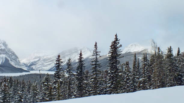 istock Icefields Parkway during the winter in Banff National Park 1283591263