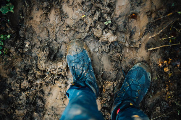 Close-up of a pair of muddy shoes on a forest footpath. Woman hiking in the nature on a sunny autumn day. Sporty person exercising outdoors.