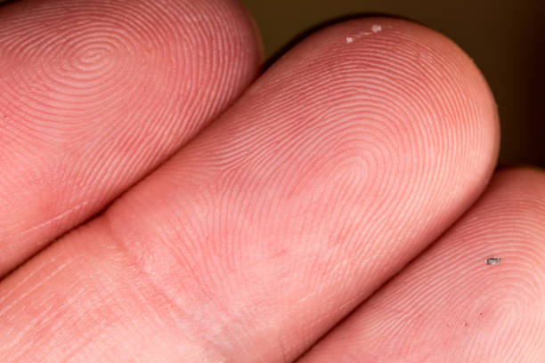 Macrophotography of a finger with its fingerprint