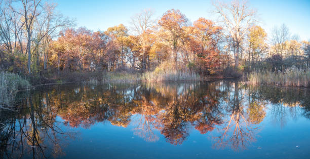 istock Ojibway Park in Autumn - Windsor, Ontario 1283593526