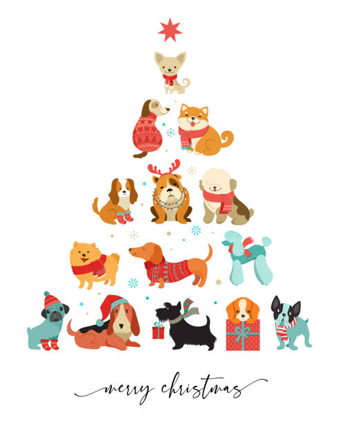 illustrations, cliparts, dessins animés et icônes de collection de chiens de noël, illustrations de joyeux noël d’animaux mignons avec des accessoires comme un chapeau tricoté, chandails, écharpes, éléments graphiques vectoriels - santa dog