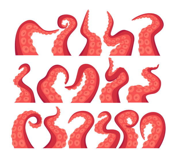 octopus tentakel isoliert icons set. unterwasser-tierantennen oder fühler auf weißem hintergrund. monster kraken hände - monster stock-grafiken, -clipart, -cartoons und -symbole