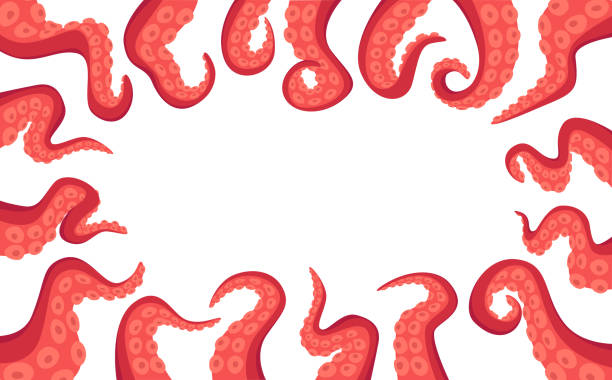 Octopus Tentacle Rectangular Border Isolated on White Background. Monster Kraken Hands, Fantasy Creature Cephalopod Arms Octopus Tentacles Rectangular Border Isolated on White Background. Monster Kraken Hands, Fantasy Creature Cephalopod Arms. Underwater Animal Antennas or Feelers. Cartoon Vector Illustration, Frame water animal octopus sea stock illustrations