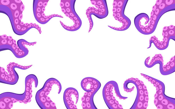 Octopus Tentacles Rectangular Border, Underwater Animal Antennas or Feelers Frame on White Background. Monster Hands Octopus Tentacles Rectangular Border, Underwater Animal Antennas or Feelers Frame Isolated on White Background. Monster Kraken Hands, Fantasy Creature Cephalopod Arms. Cartoon Vector Illustration, water animal octopus sea stock illustrations