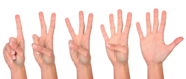 istock Female hand Isolated on White Background: Hand Counts from One to Five. 1283602499