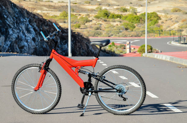 istock Full Suspension Mountain Bike 1283606059