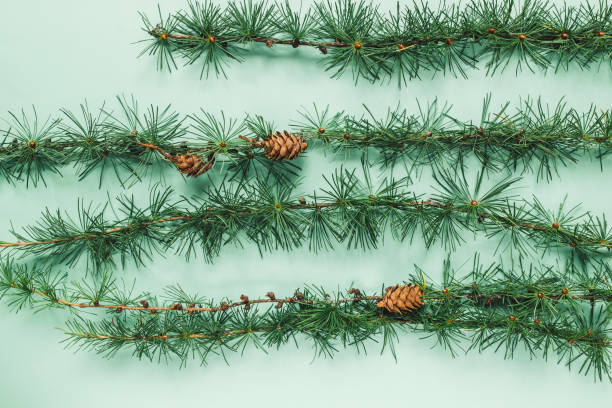 istock Spruce branch on green background. Christmas border. Flat lay 1283607038
