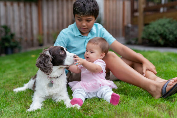 młody chłopiec i jego młodsza siostra siedzą z psem na zewnątrz - pets baby young animal child zdjęcia i obrazy z banku zdjęć