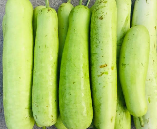 bounch de bottle gaurd légumes. - zucchini vegetable squash market photos et images de collection