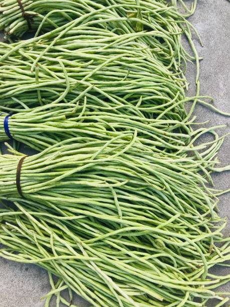 istock Bunch of fresh long bean 1283613283