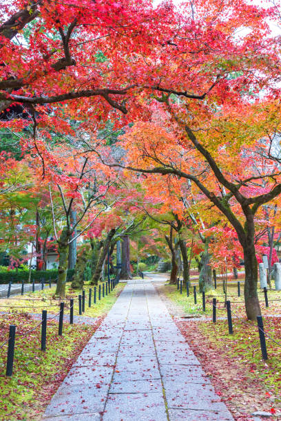 istock Path in peak in autumn season 1283618328