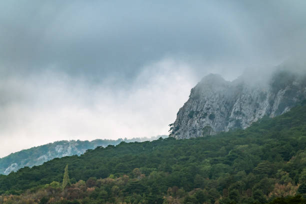 istock High rocky mountains with forested slopes and peaks hidden in the clouds. 1283620383
