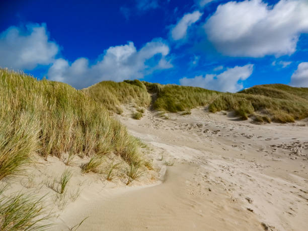 istock On the North Sea beach in Denmark 1283621278