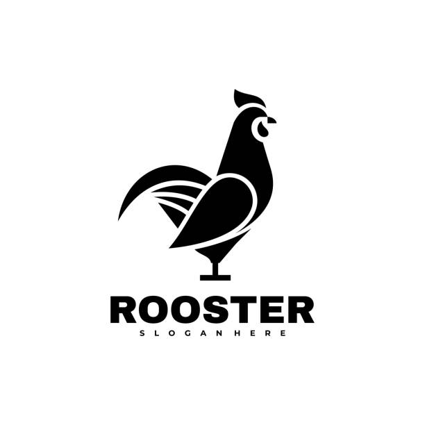 ilustrações de stock, clip art, desenhos animados e ícones de vector illustration rooster silhouette style. - chicken silhouette animal rooster