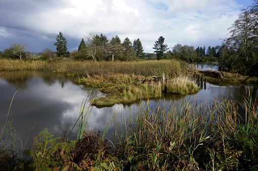 Youngs river at Netul Landing in Fort Clatsop National Park in Lewis and Clark, Oregon.