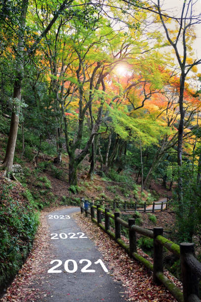 istock 2021, 2022 and 2023 new year road trip 1283631915
