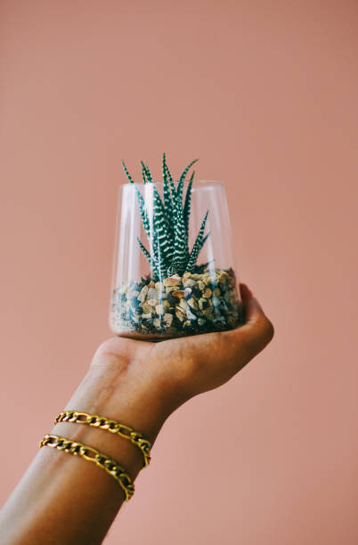 Closeup shot of an unrecognisable woman holding a succulent plant in a glass vase