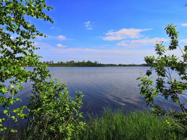 istock Lake in the summer forest 1283632175