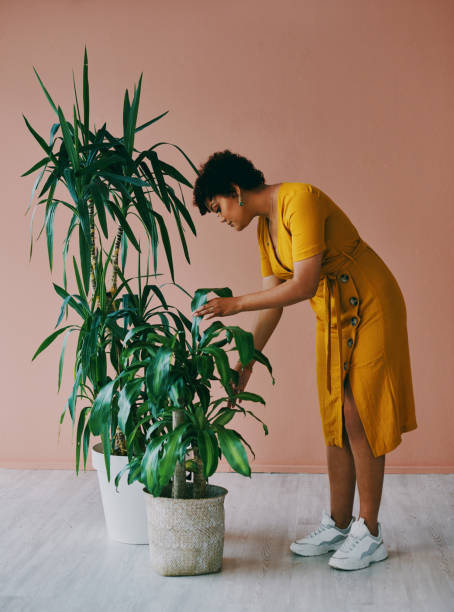 istock My greens are growing beautifully 1283632973