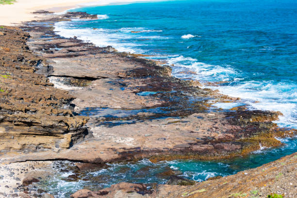 istock Rocky coast along east Oahu, Hawaii 1283633987