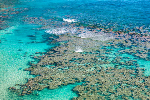 Shallow swimming and snorkeling beach in extinct volcanic crater