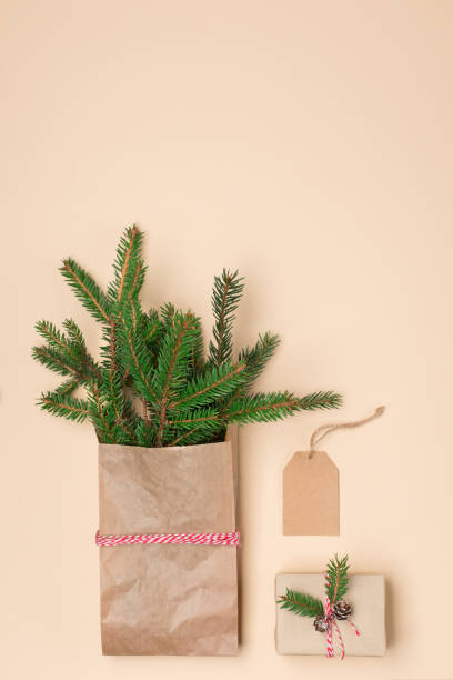 istock Christmas zero waste eco-friendly concept. Festive Xmas gift box, fir branches, empty tag on natural beige background. 1283637093