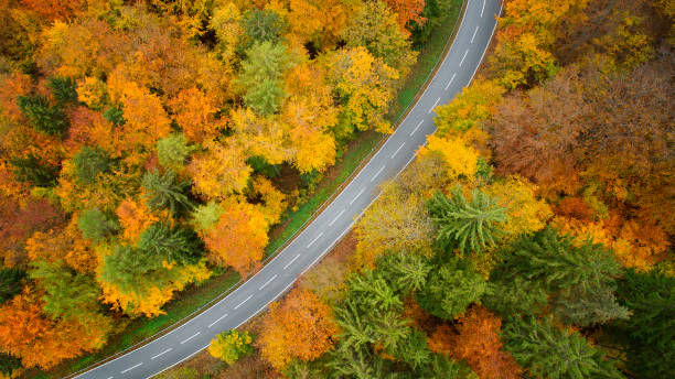 istock Road through autumnal forest - aerial view 1283665931