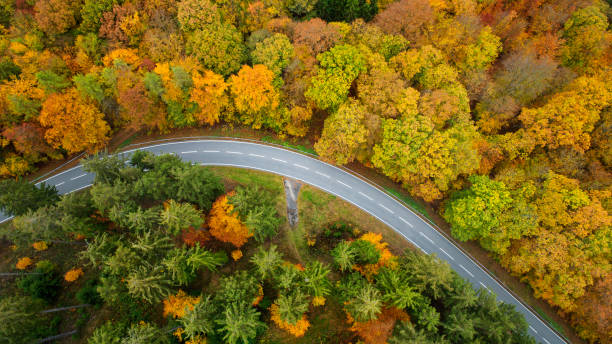 istock Road through autumnal forest - aerial view 1283665988