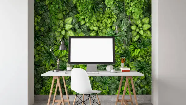 Workspace with Blank Screen Monitor and Vertical Garden Concept Wall. 3d Render