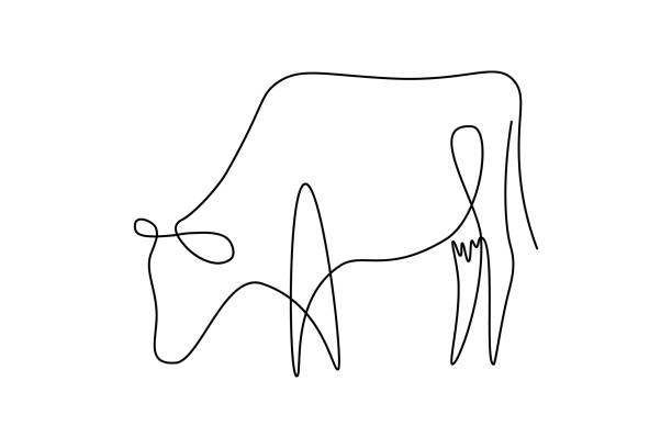 Grazing cow abstract drawing Cow on pasture in continuous line art drawing style. Grazing cow abstract minimalist black linear sketch isolated on white background. Vector illustration cow clipart stock illustrations