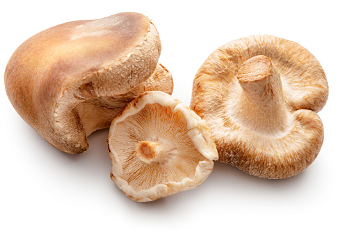 Mushrooms: Shiitake Mushrooms Isolated on White Background