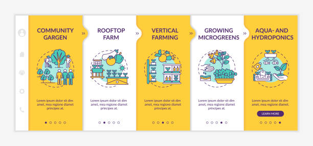 도시 농업 온보딩 벡터 템플릿 - field vertical agriculture crop stock illustrations