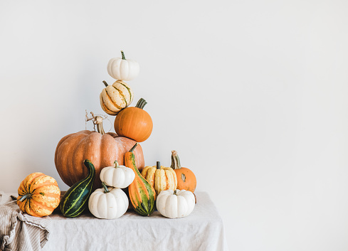 Colorful pumpkins of different shapes and size in pyramid composition on light tablecloth, white wall at background, copy space. Pumpkins for Halloween or Thanksgiving Day Autumn holiday decoration