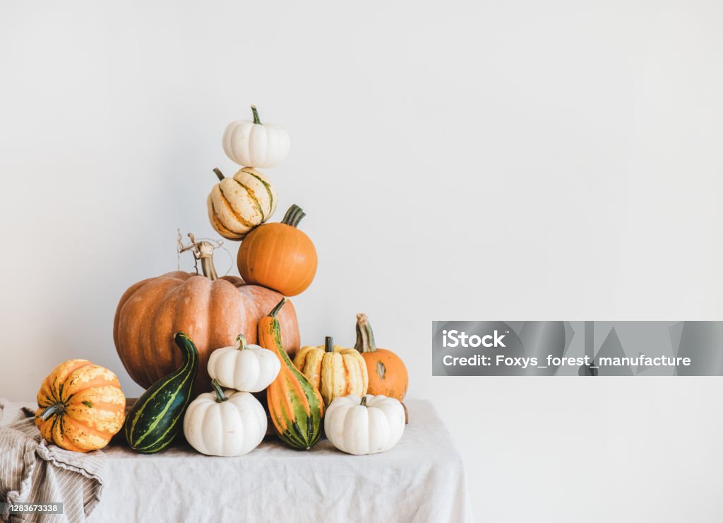 Pumpkins for Halloween or Thanksgiving Day holiday decoration, copy space Colorful pumpkins of different shapes and size in pyramid composition on light tablecloth, white wall at background, copy space. Pumpkins for Halloween or Thanksgiving Day Autumn holiday decoration Thanksgiving - Holiday Stock Photo