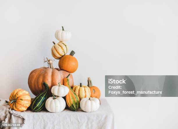 Pumpkins For Halloween Or Thanksgiving Day Holiday Decoration Copy Space Stock Photo - Download Image Now