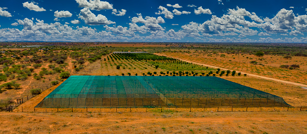 african agriculture aerial view of a vegetables greenhouse and plantation of orange trees