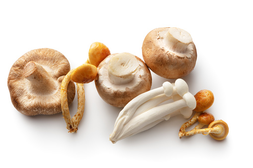 Mushrooms: Mushrooms Isolated on White Background